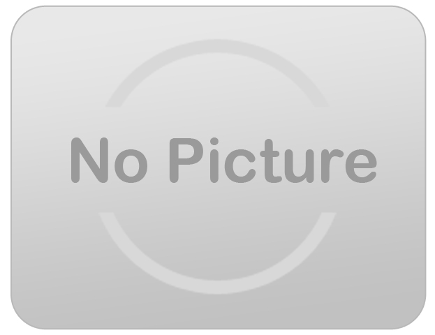 27' Double Lane Tropical Inferno Water Slide